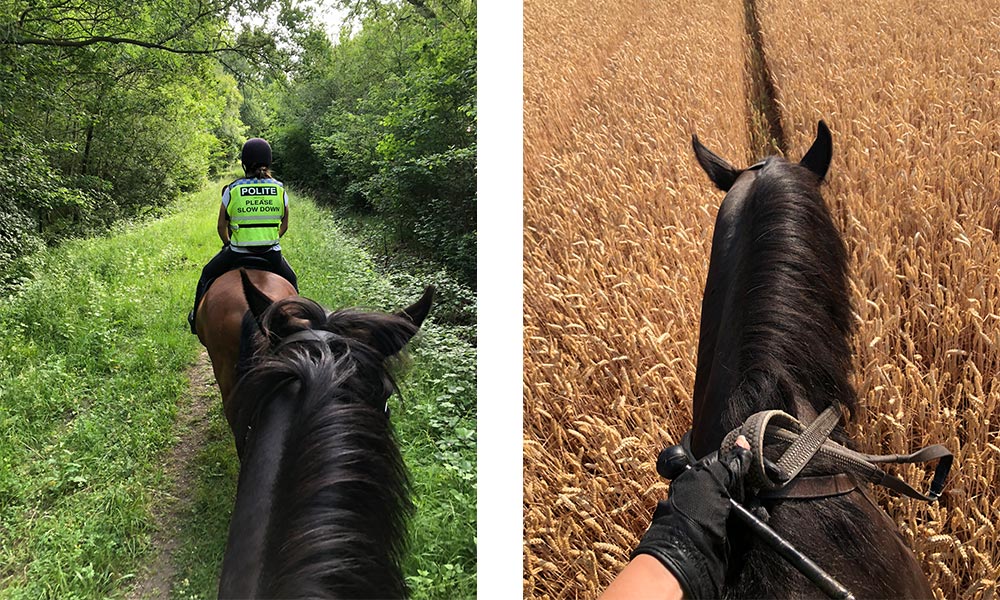 horse ride suffolk&nbsp;