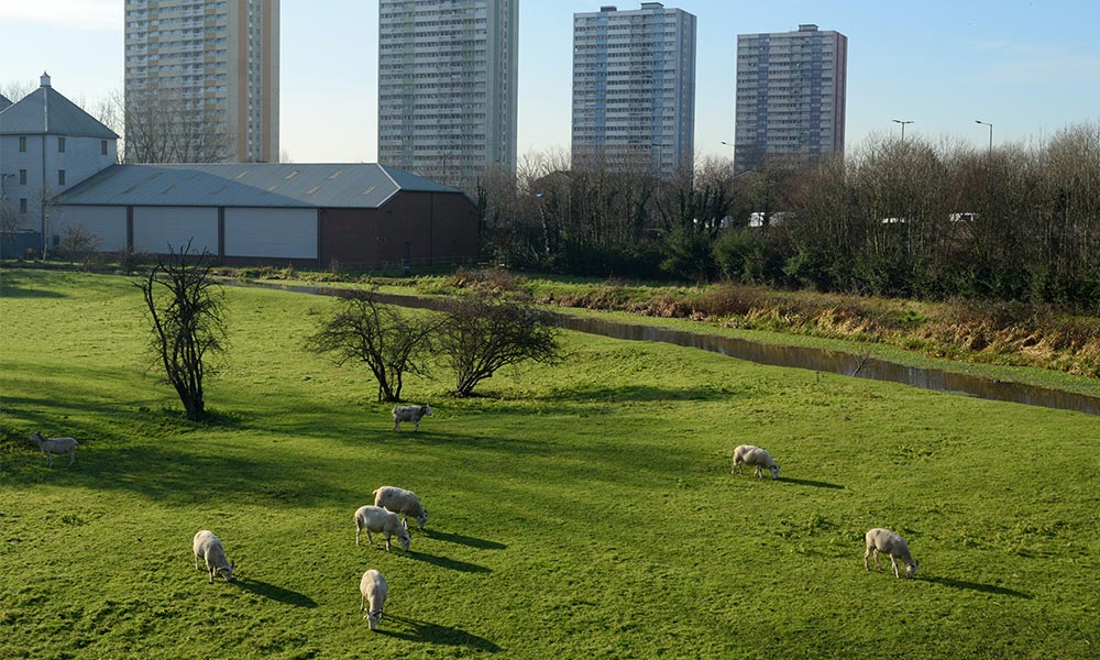 Lee Valley Country Park&nbsp;