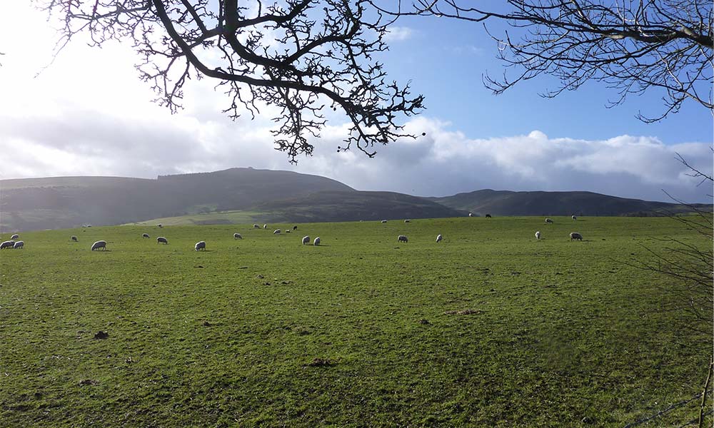 Moel Famau Country Park, Clwyd