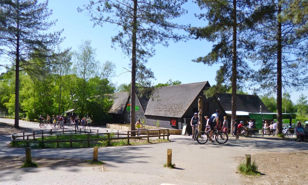 Moors Valley Country Park, Dorset