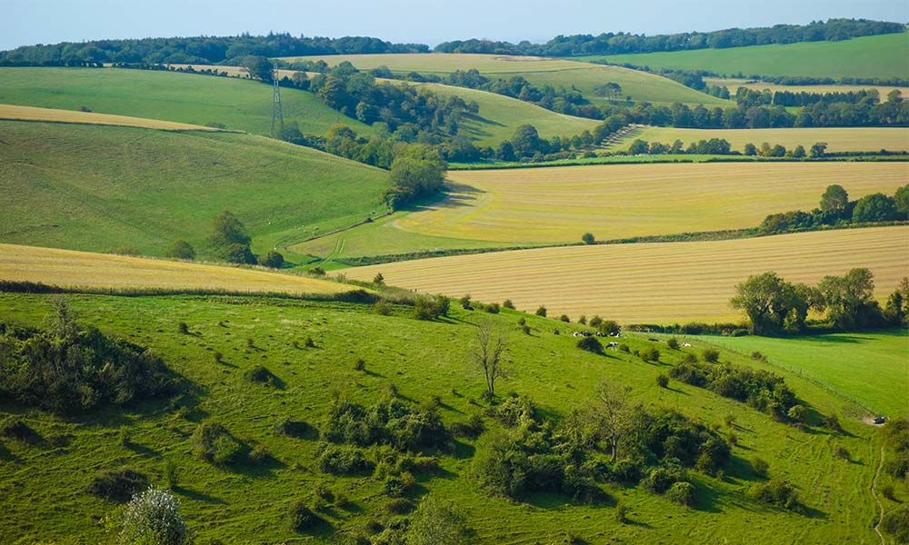 &nbsp;Butser Hill Queen Elizabeth Country Park