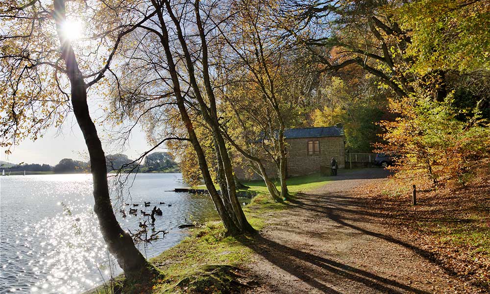 Talkin Tarn Country Park