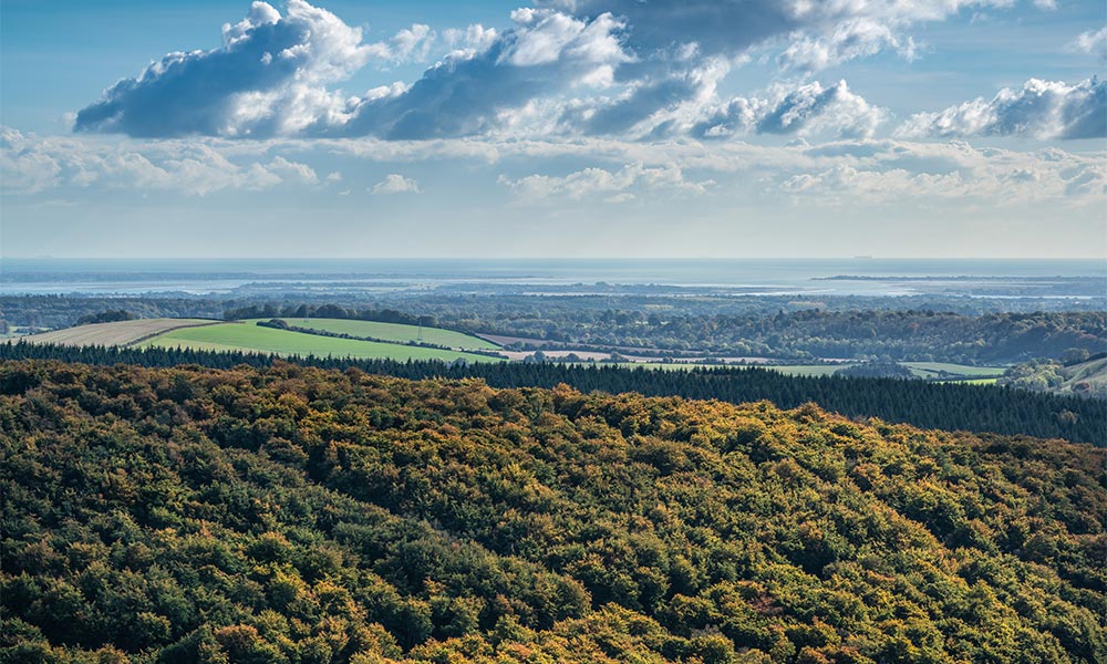 Queen Elizabeth Country Park, Hampshire
