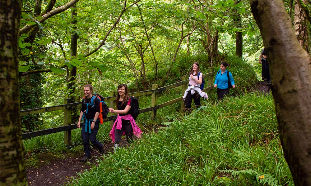 a group of young people walking 
