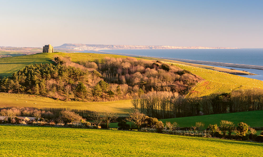 &nbsp;Abbotsbury&nbsp;