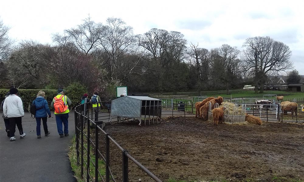 Graves Park Wellbeing Walk