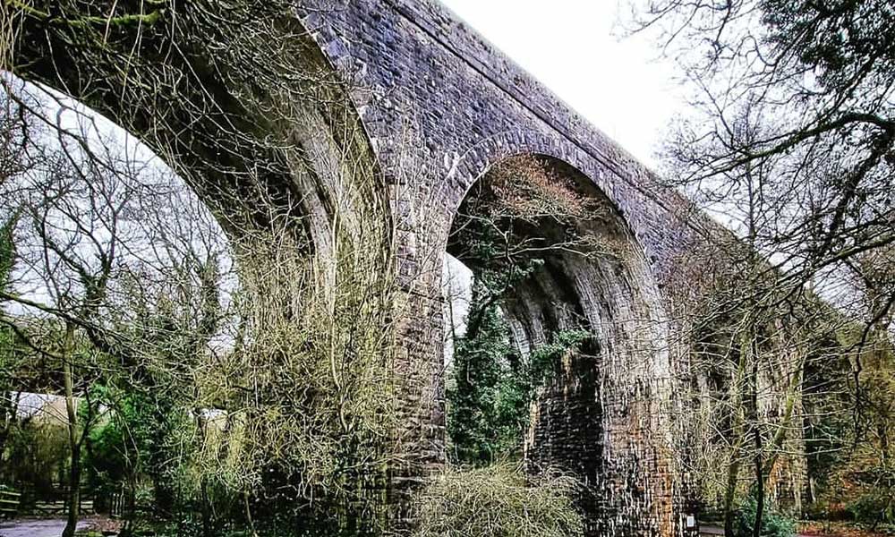 Okehampton Wellbeing Walk