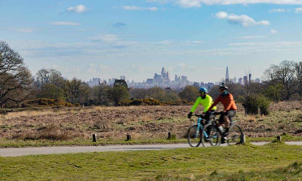 Richmond Park, Greater London