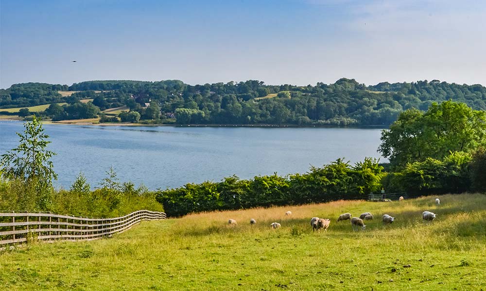 &nbsp;Rutland Water, Rutland