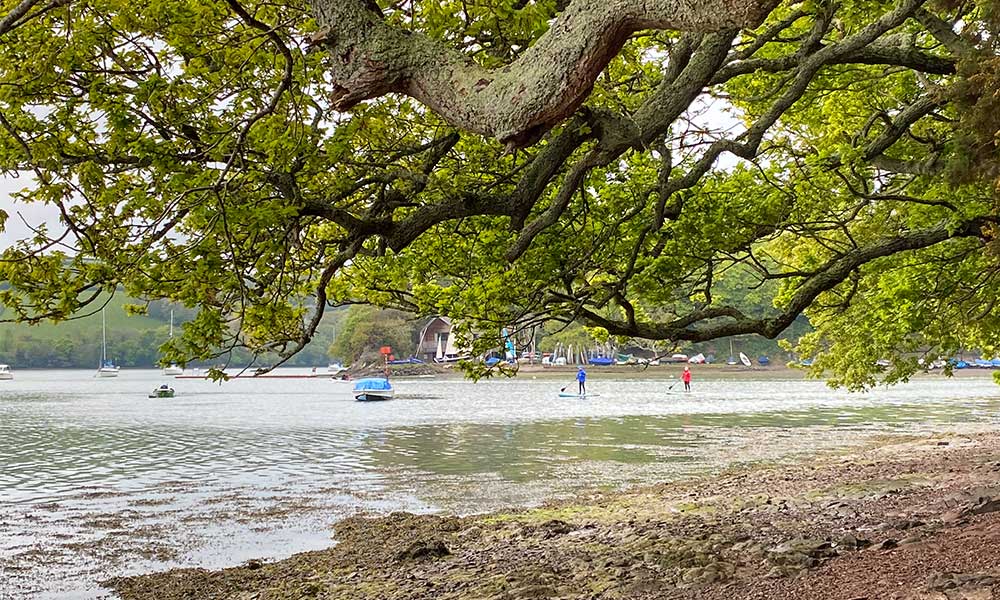 Stoke Gabriel paddleboard&nbsp;