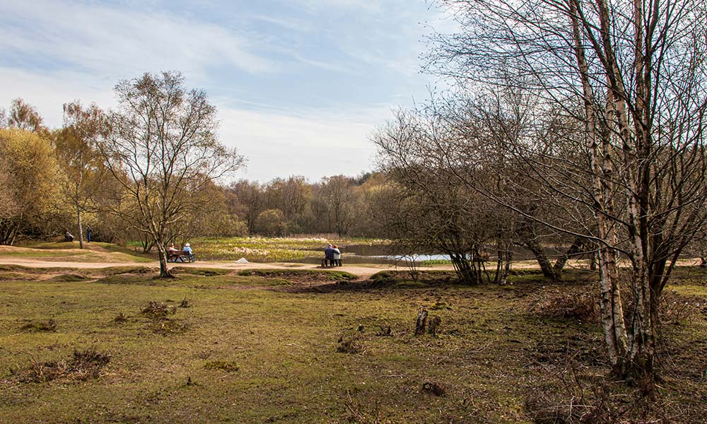 Sutton Park, West Midlands&nbsp;