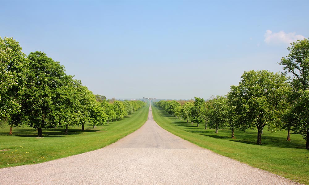 Windsor Great Park, Berkshire