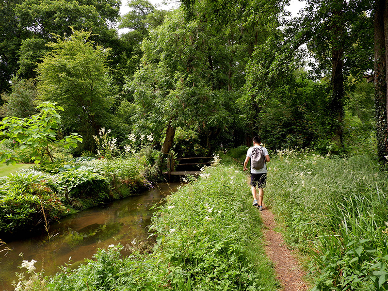 Surrey Hills - Guildford, Surrey