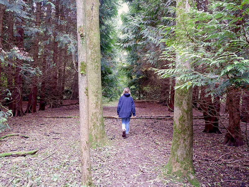 The Ridgeway - Tring, Hertfordshire