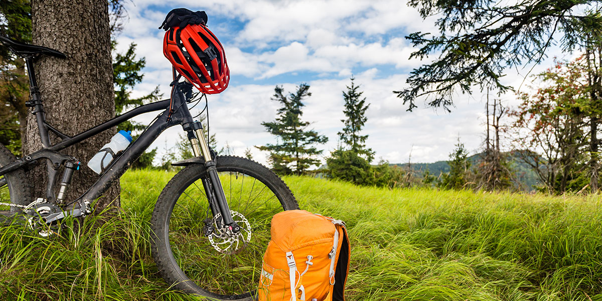 Bikepacking through the forest