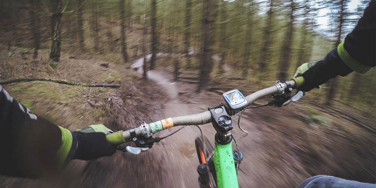 Cycling through forest