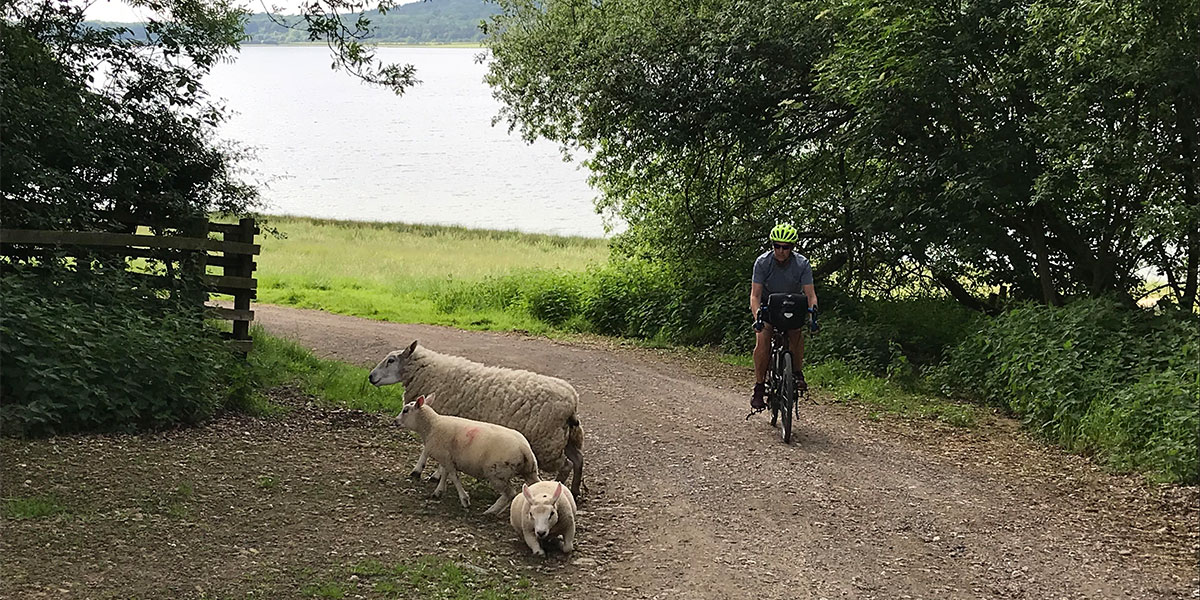 Sharing the trail at Rutland Water