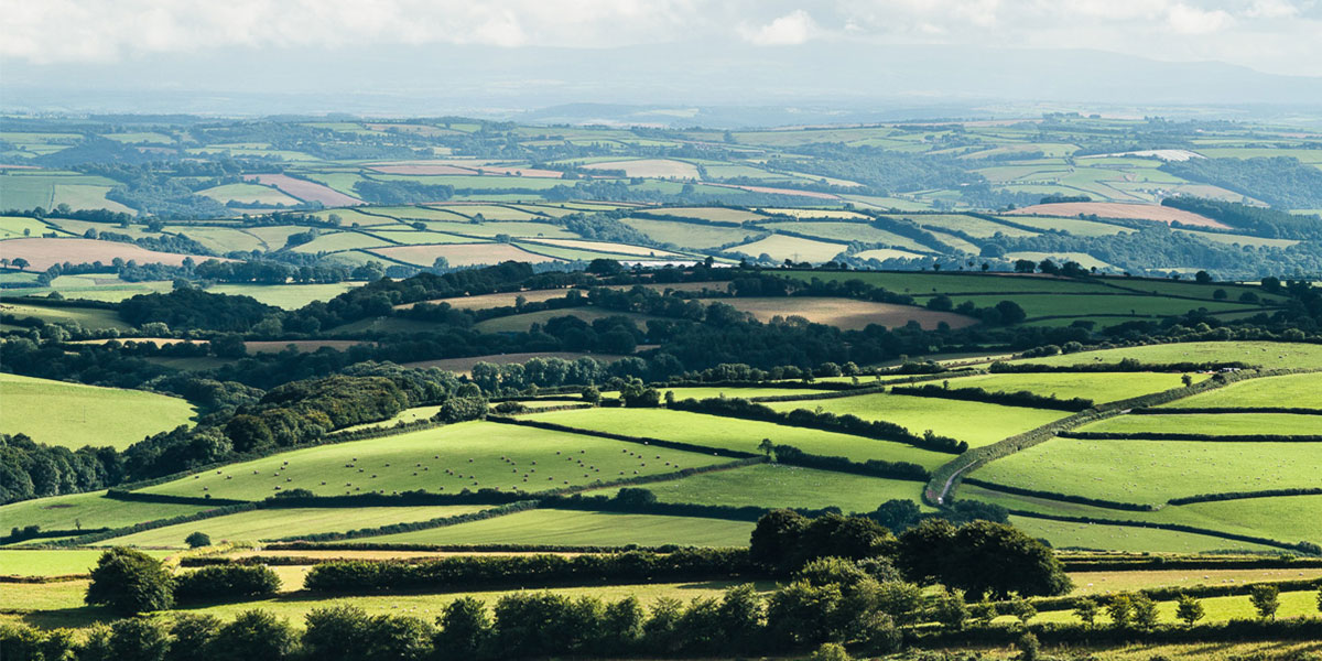 Mole’s Chamber to Anstey Barrow