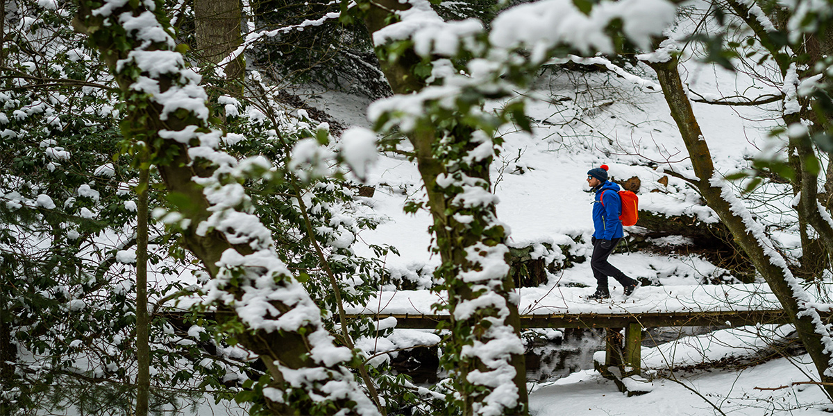 Rory walking across snowy bridge