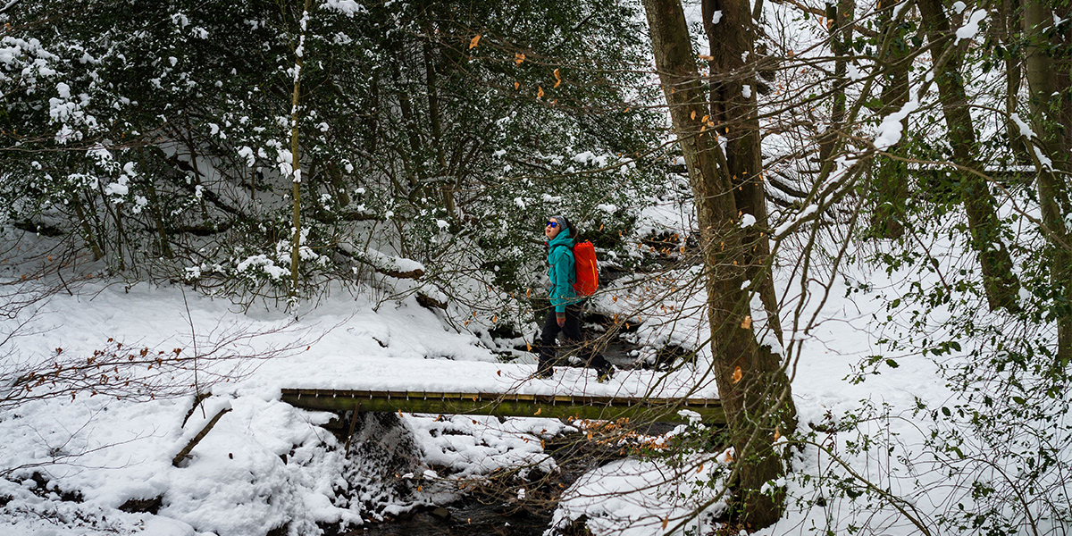 Jessie walking across snowy bridge