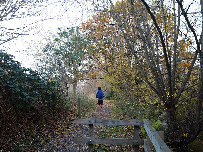 Max running along trail