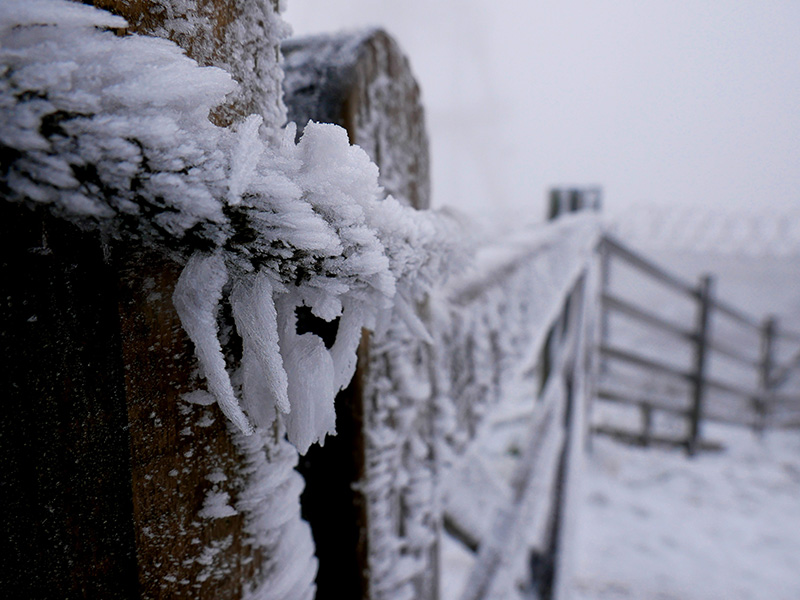 Icicles on fence