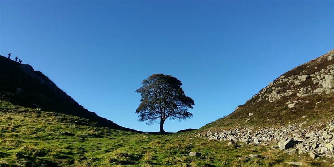 Sycamore Gap, Hadrian’s Wall, Northumberland