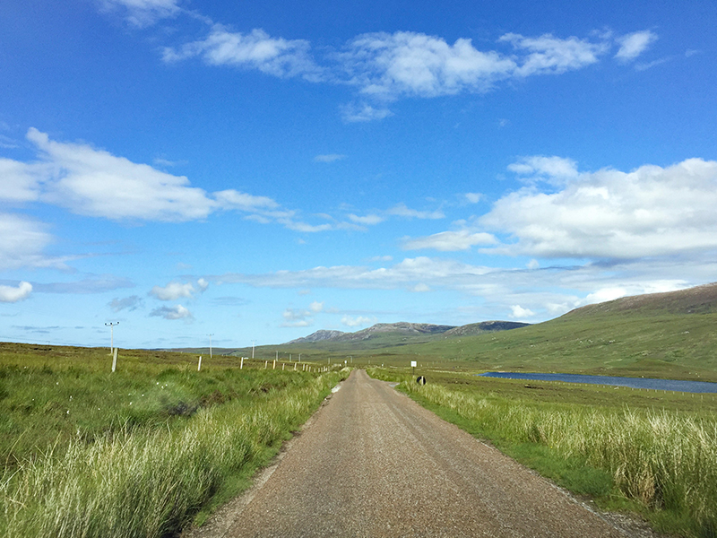 Scenic view on the road trip