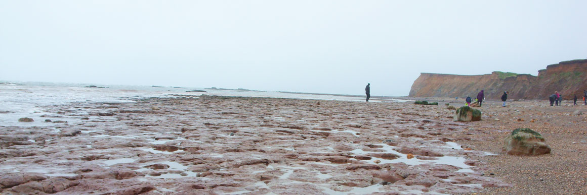 Fossil hunting at Brook Bay, Isle of Wight