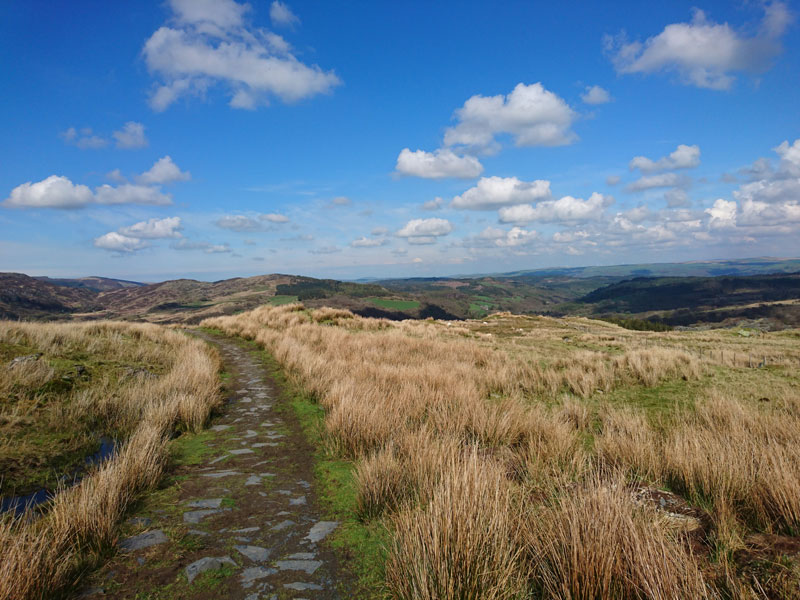 Moel Siabod waypoint 1 - the path