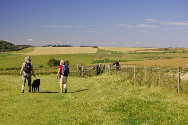 The South Downs Way - © Trevor Harris vie Geograph (Creative Commons)