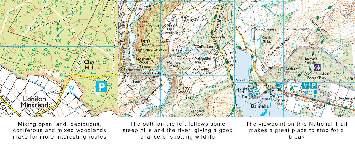 Things to look out for when planning a walk in OS Maps&nbsp;