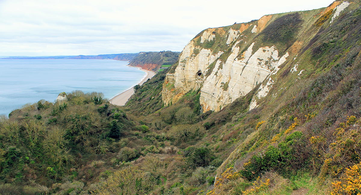 Hooken Landslide, Jurassic Coast